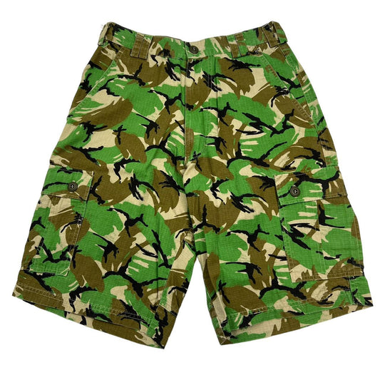 Stussy Shorts (w29)