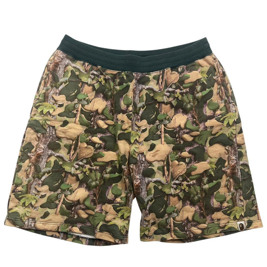 Bape Shorts (M)